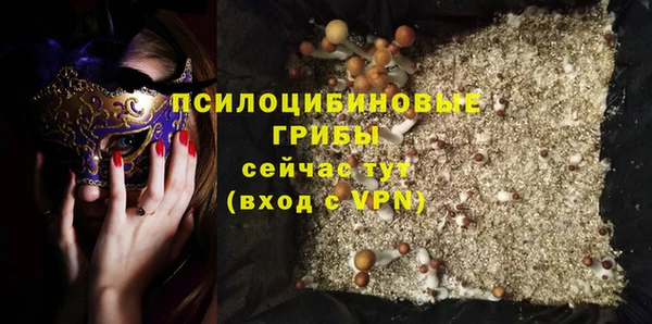 дмт Медногорск