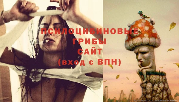 метадон Мегион