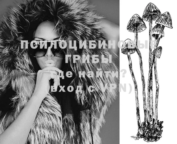 наркотики Медвежьегорск