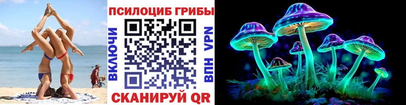 Купить где  Алексеевка  Галлюциногенные грибы Psilocybe 